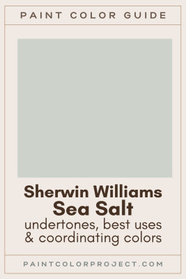 Sherwin-Williams-Sea-Salt-Paint-Color-guide.jpg