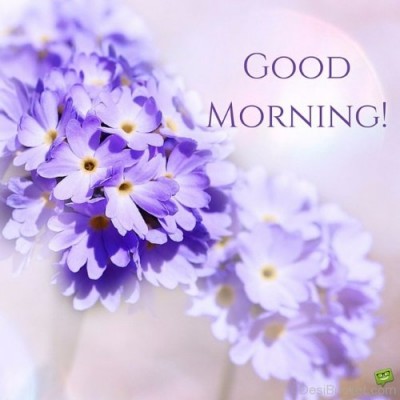 Good-Morning-With-Beautiful-Flower-Image.jpg