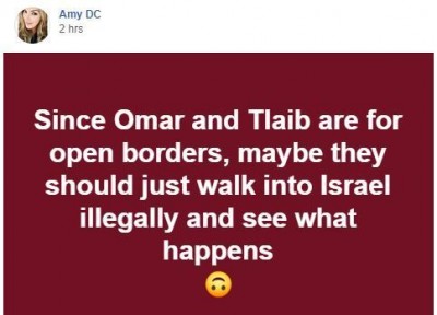 quote-since-tlaib-omar-for-open-borders-maybe-they-should-walk-into-israel-see-what-happens.jpg