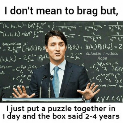 Trudeau Puzzle.jpg